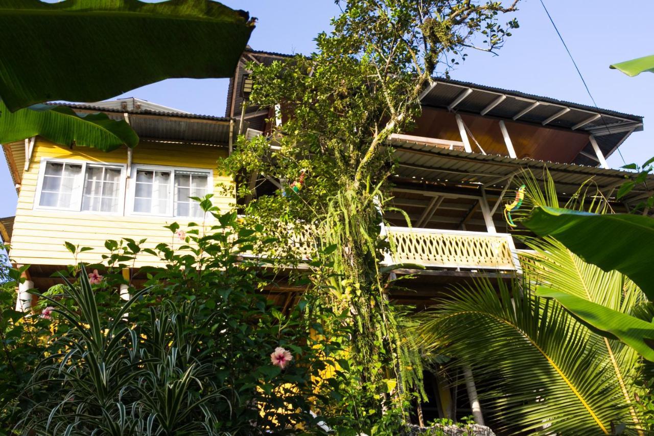 Bastimentos Hill Guest House Bocas del Toro Zewnętrze zdjęcie